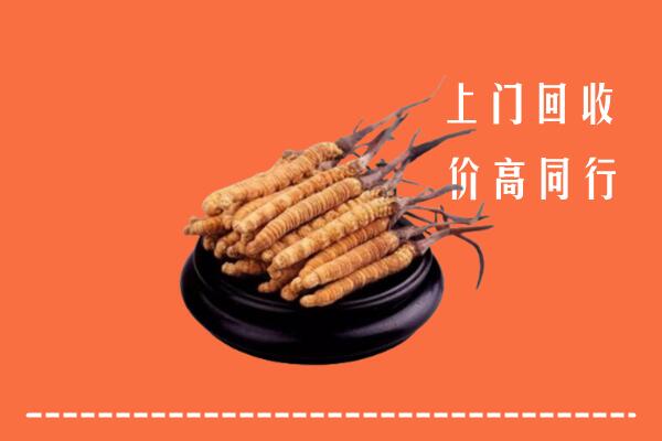 高价求购：北京门头沟回收散虫草