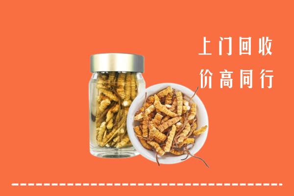北京门头沟回收冬虫夏草
